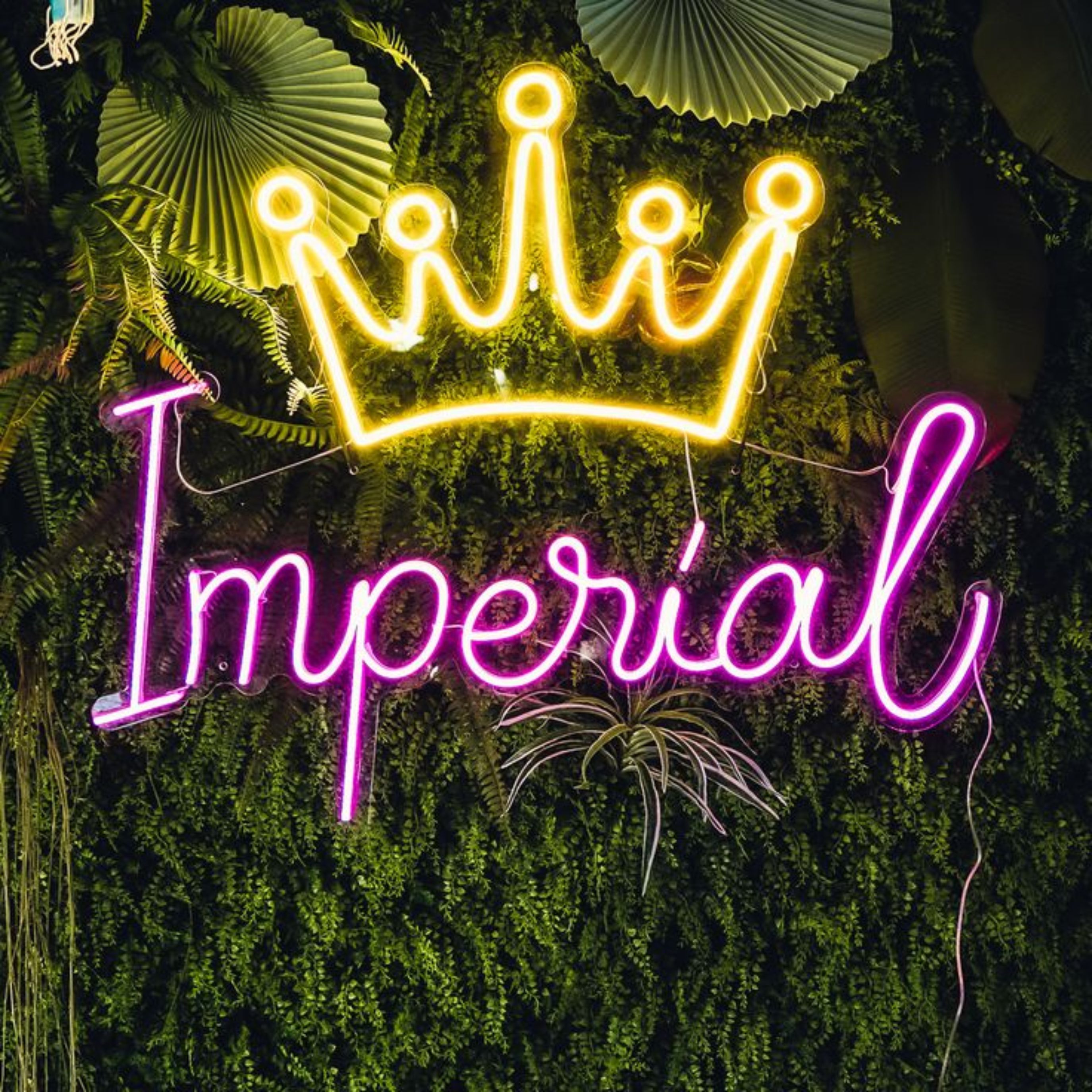 Premium Neon Signs