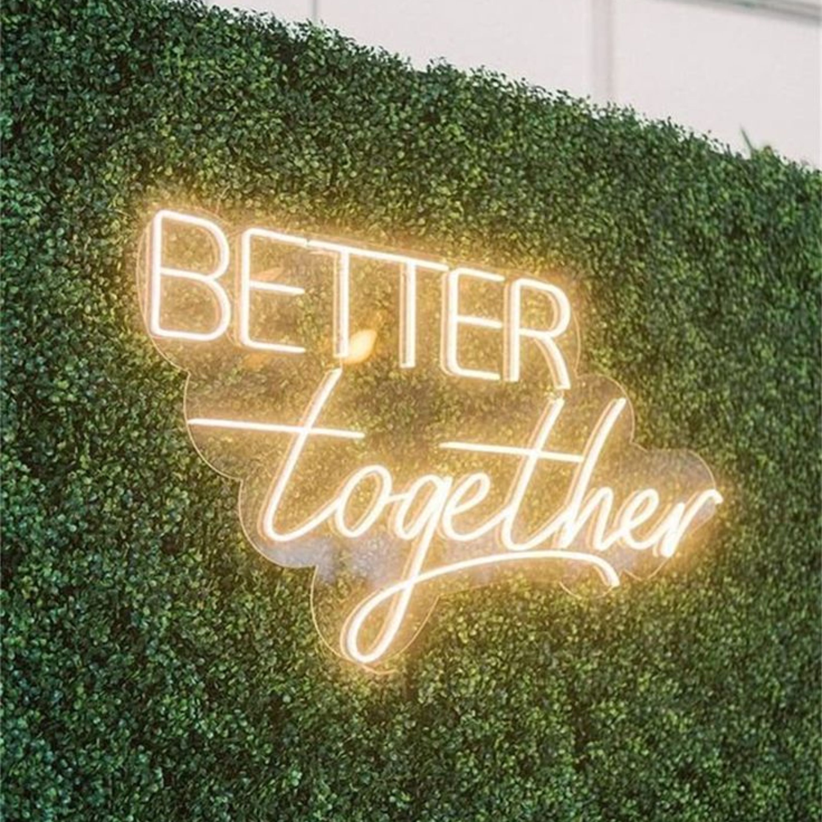 Premium Neon Signs